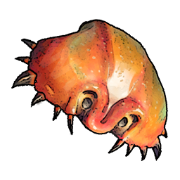 Crab Shell