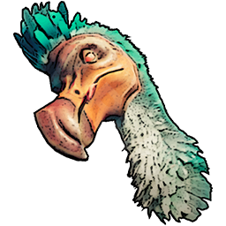 Dodo Head