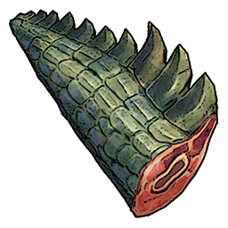 Crocodile Tail