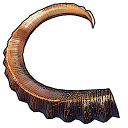Mountain Goat Horn