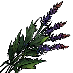 Healing Herbs